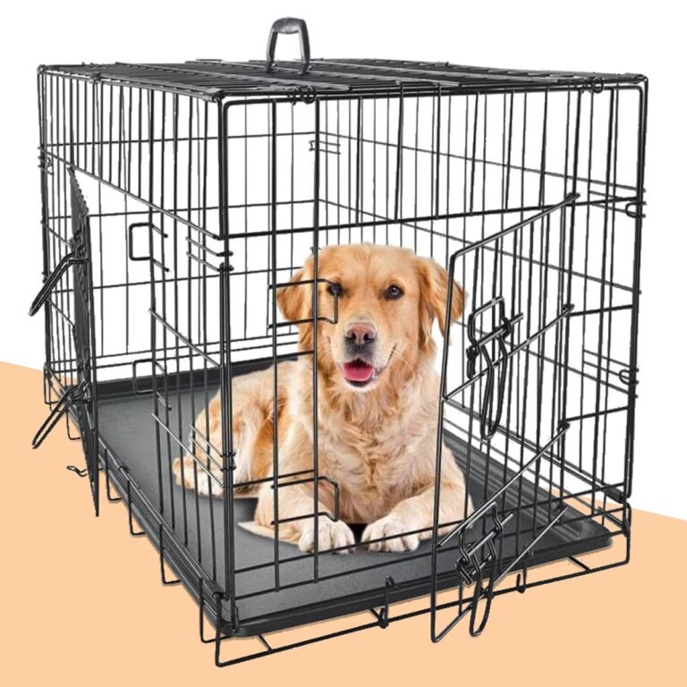 A golden retriever lying inside a black metal dog crate with a removable tray. The crate has an open door, and the dog appears comfortable and relaxed.