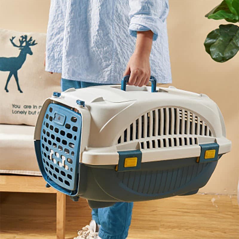 A person holds a pet carrier with a perforated door and handles, standing in a room with a beige wall. A plant and a reindeer-themed cushion are seen in the background.