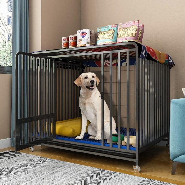 A dog sits inside a heavy-duty dog kennel in a living room. The kennel boasts a colorful blanket on top, with several pet food packages and cans neatly arranged. In the background, a window and part of a blue sofa are visible.