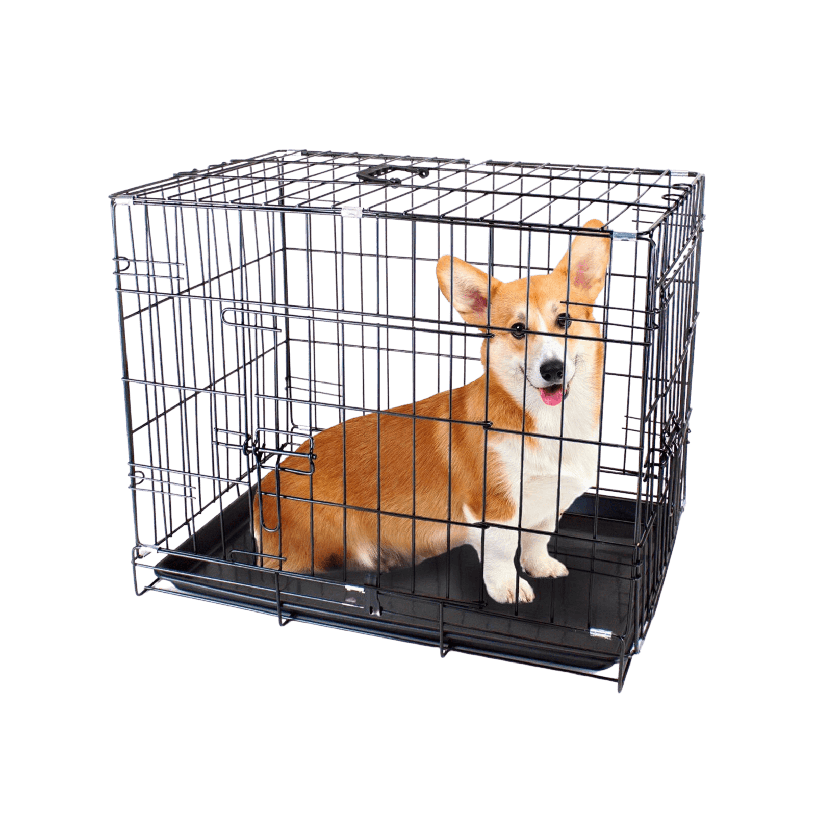 Single door wire dog crate manufactured by Cagesilo factory - structurally simple design for OEM programs