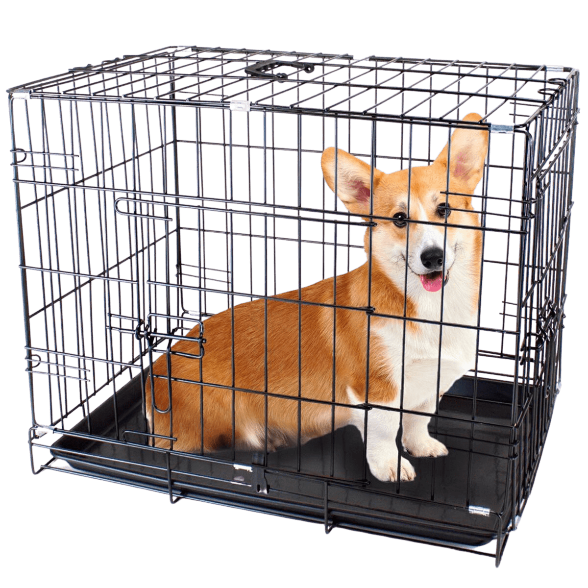 Double doors wire dog crate