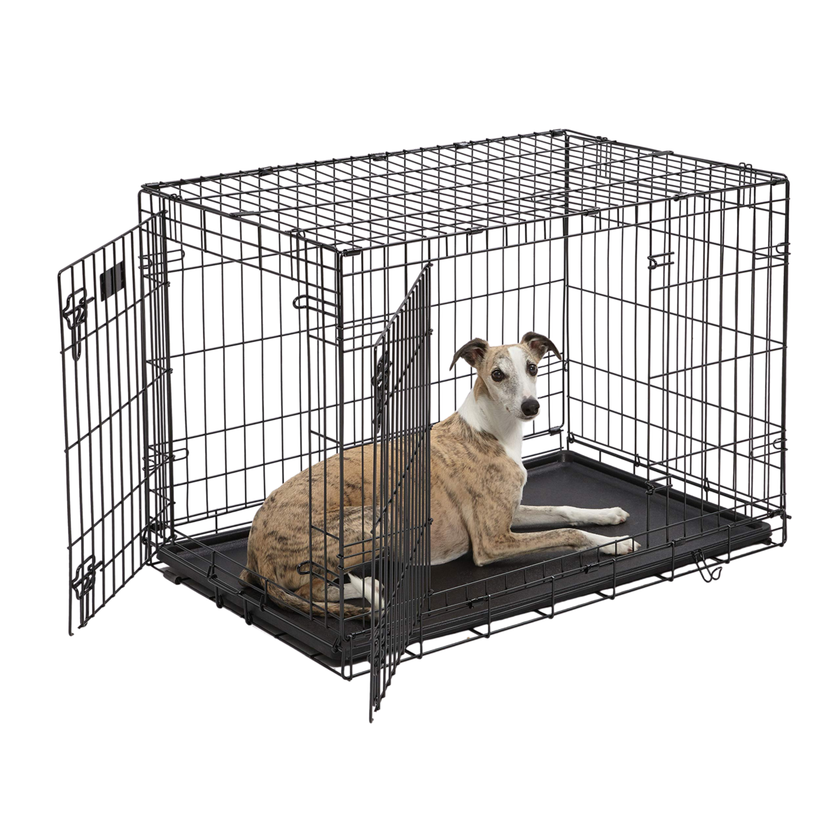 Double door wire dog crate with front and side access - manufactured by Cagesilo OEM factory